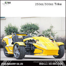 300cc Ztr Trike for Adult Tricycle 24HP Trike Roadster 3 Wheel Car for Sale